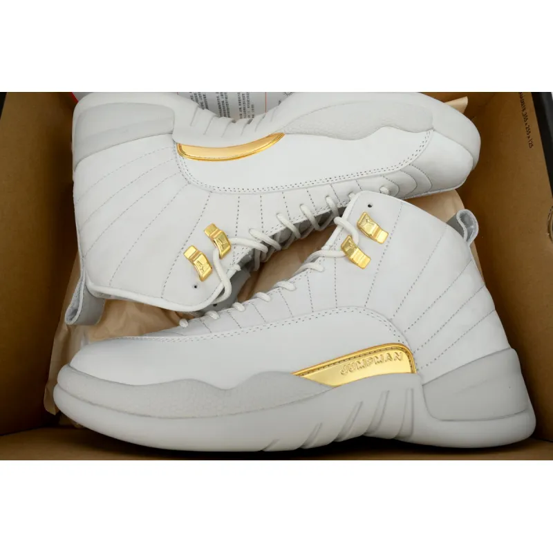 PKGoden Air Jordan 12 Retro Phantom FD9101-007 