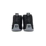 PKGoden Air Jordan 12 Retro Black and wolf Grey CT8013-010 