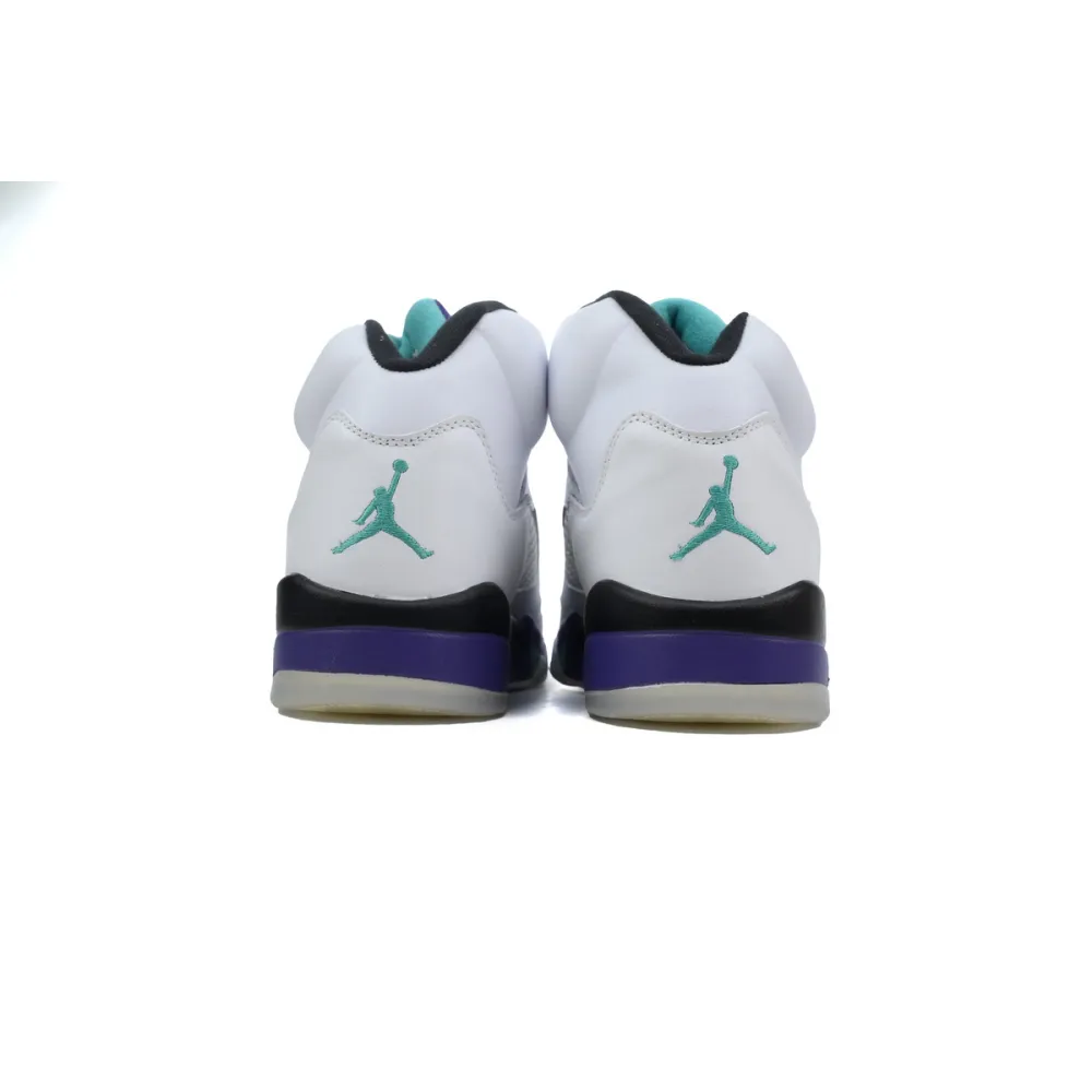PKGoden Air Jordan 5 Retro Grape 136027-108 