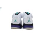 PKGoden Air Jordan 5 Retro Grape 136027-108 
