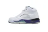 PKGoden Air Jordan 5 Retro Grape 136027-108 