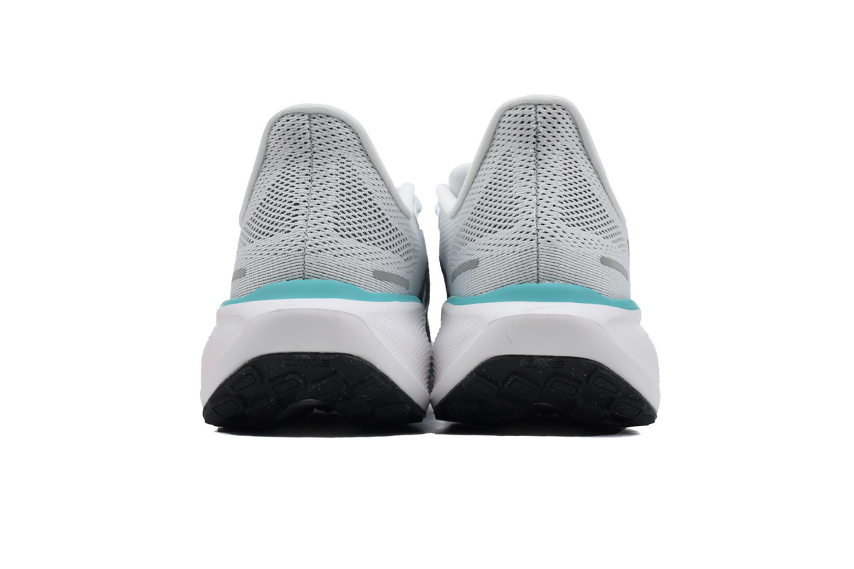 Air Zoom Pegasus 41 White Dusty Cactus FD2722-103 