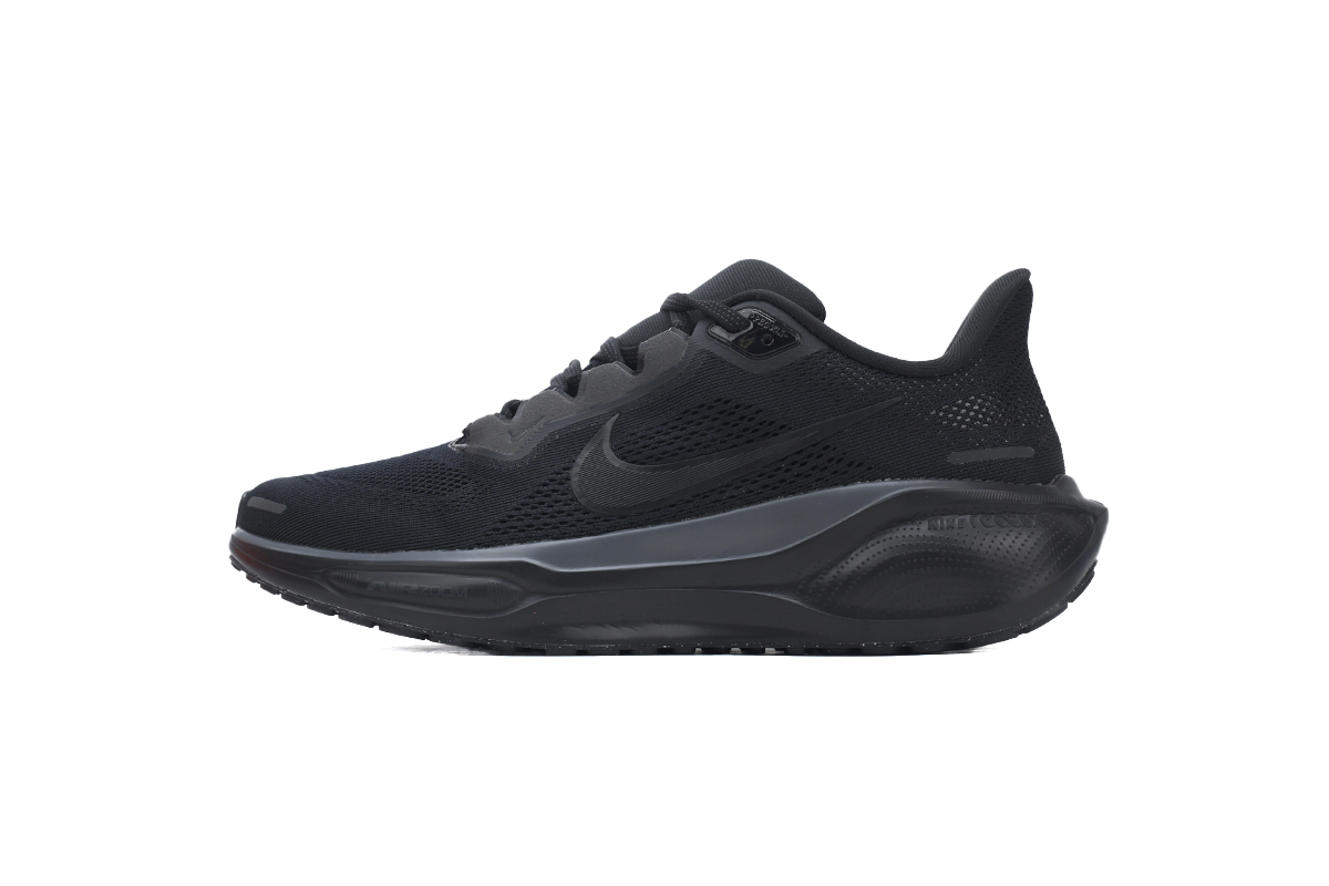 Air Zoom Pegasus 41 Black Anthracite FD2723-001 