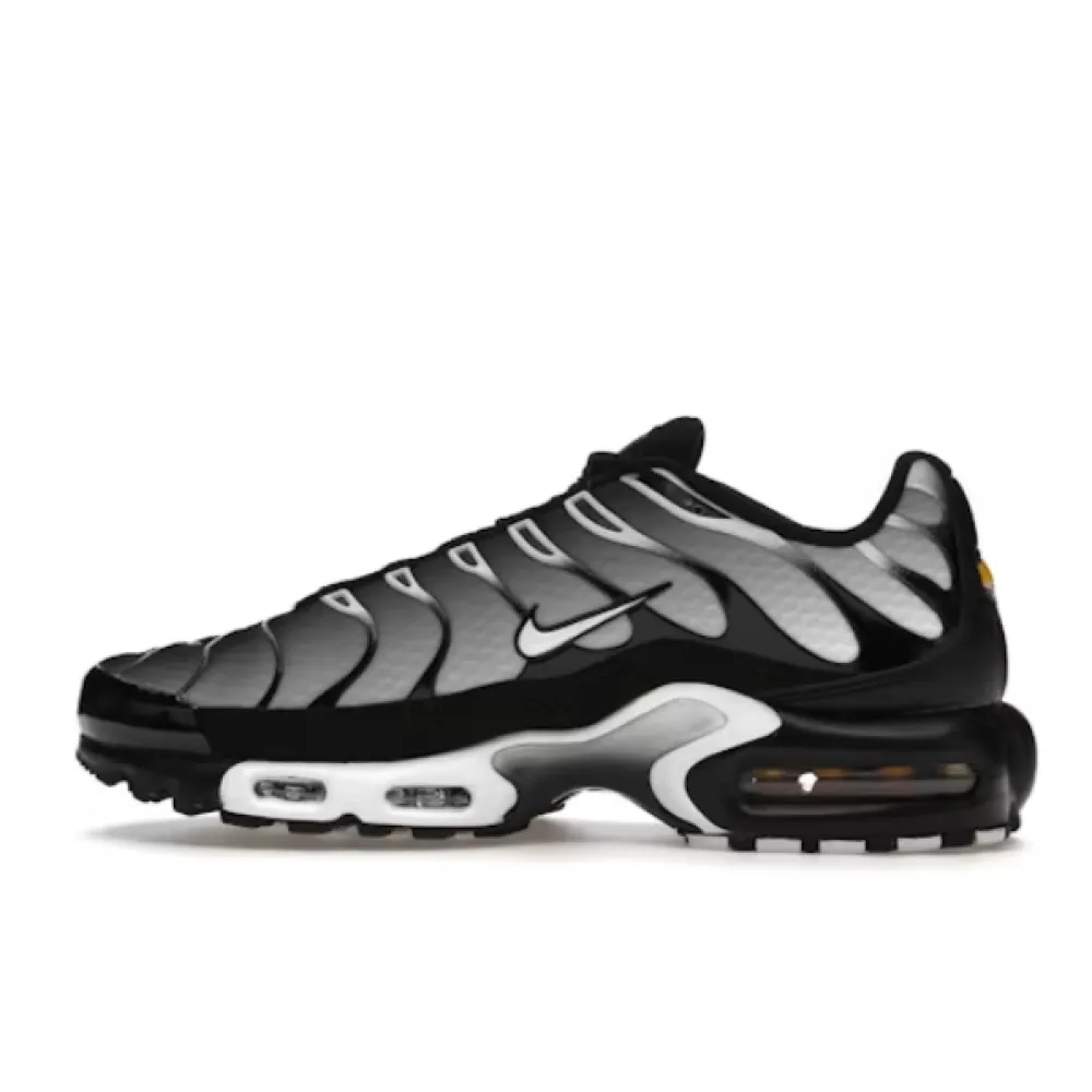 Air Max Plus Black Silver White, DM0032-003