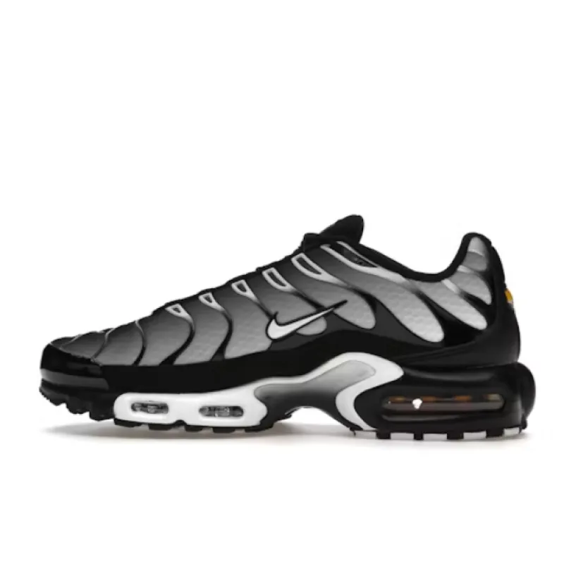 Air Max Plus Black Silver White, DM0032-003