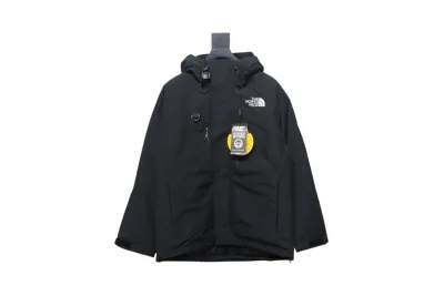 Japanese version of The North Face RETROHIMALAYAN Peak Himalaya Mountaineering Series Hooded Down Jacket 1 01