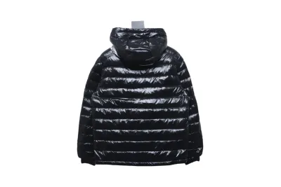 Moncler Dragon Year Limited Edition Down Jacket 2 02