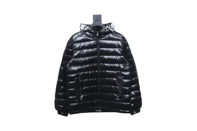 Moncler Dragon Year Limited Edition Down Jacket 2 01