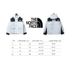 The North Face 1986 Classic Thin Down 1