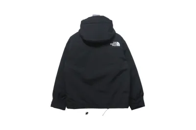 The North Face 1986 Classic Thin Down 2 02