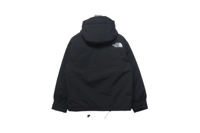 The North Face 1986 Classic Thin Down 2 02