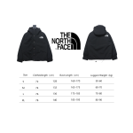 The North Face 1986 Classic Thin Down 2
