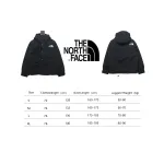 The North Face 1986 Classic Thin Down 2