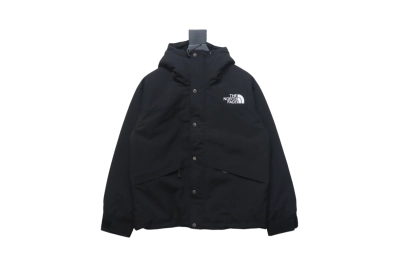 The North Face 1986 Classic Thin Down 2 01
