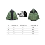 THE NORTH FACE Black Label Limited Edition Pioneer Colorblock Printed Zipper Hooded Down Jacket