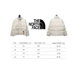 The North Face X Supreme TNF SUP co-branded suede down jacket