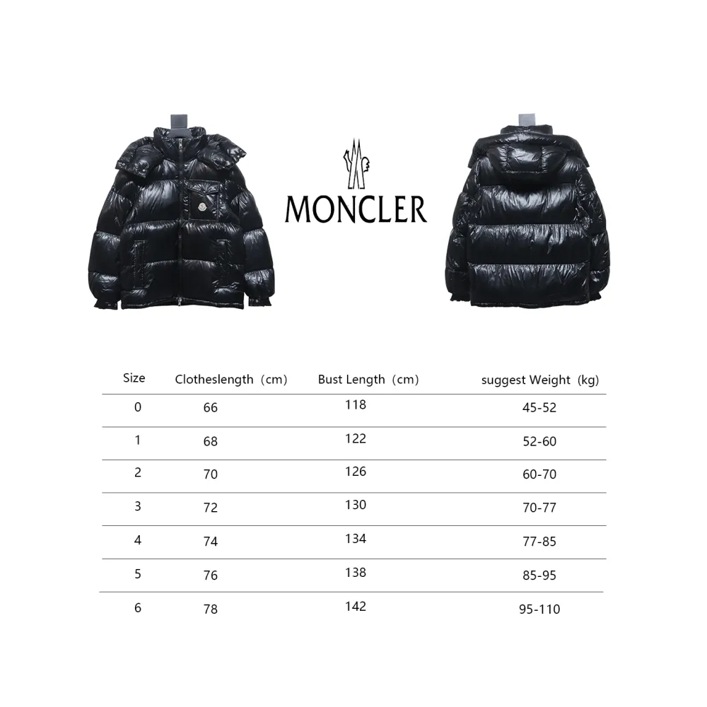 Top Moncler Montbeliard classic down jacket 1