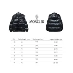 Top Moncler Montbeliard classic down jacket 1