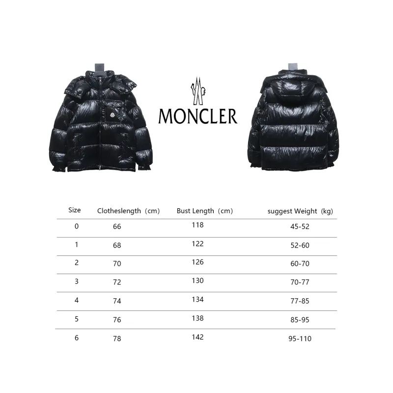 Top Moncler Montbeliard classic down jacket 1