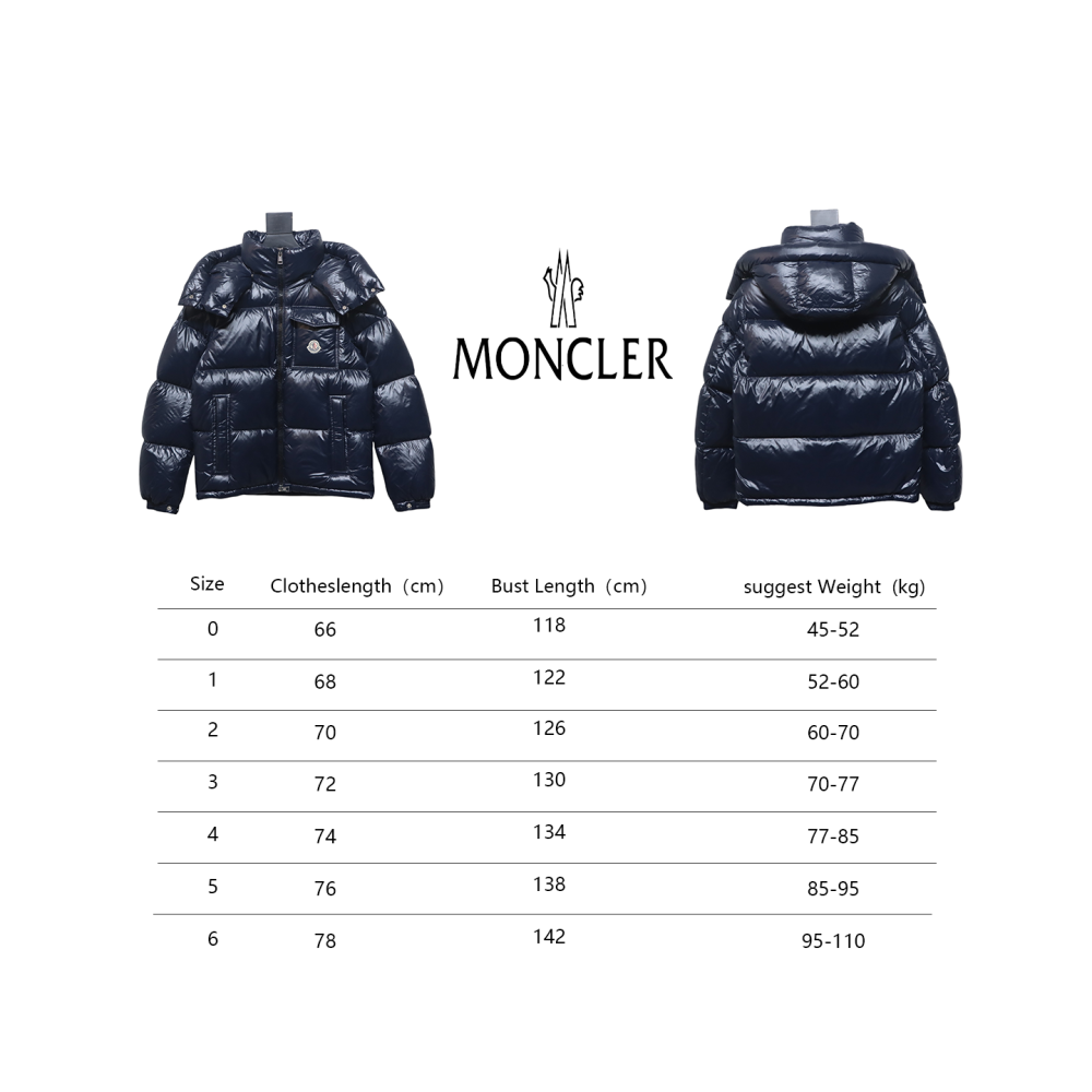 Top Moncler Montbeliard classic down jacket 2