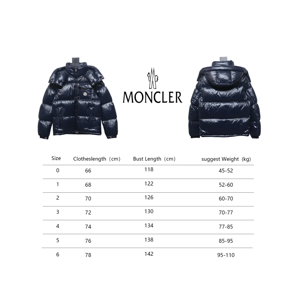 Top Moncler Montbeliard classic down jacket 2