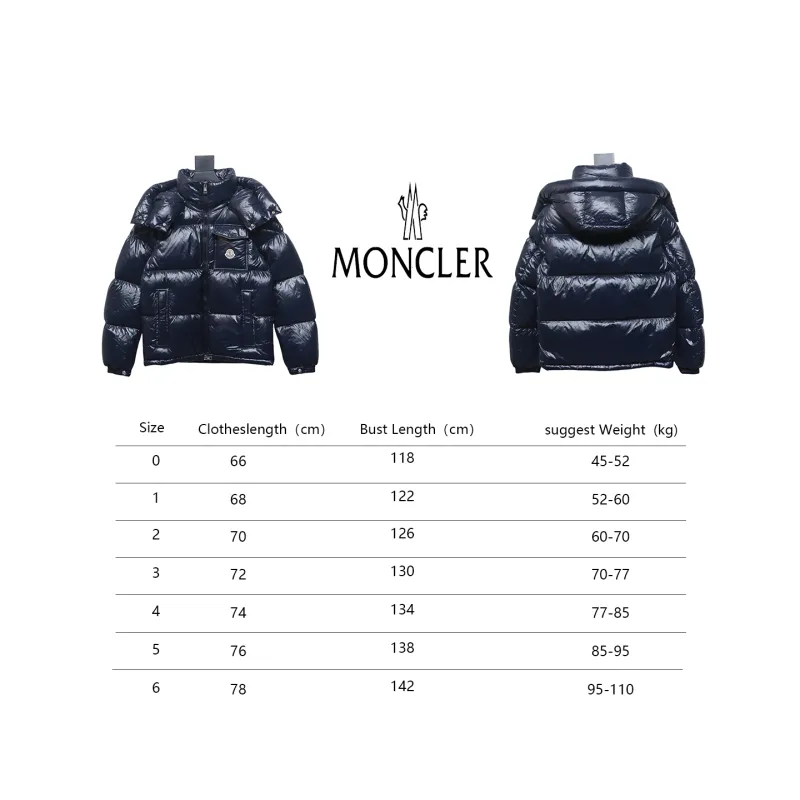 Top Moncler Montbeliard classic down jacket 2