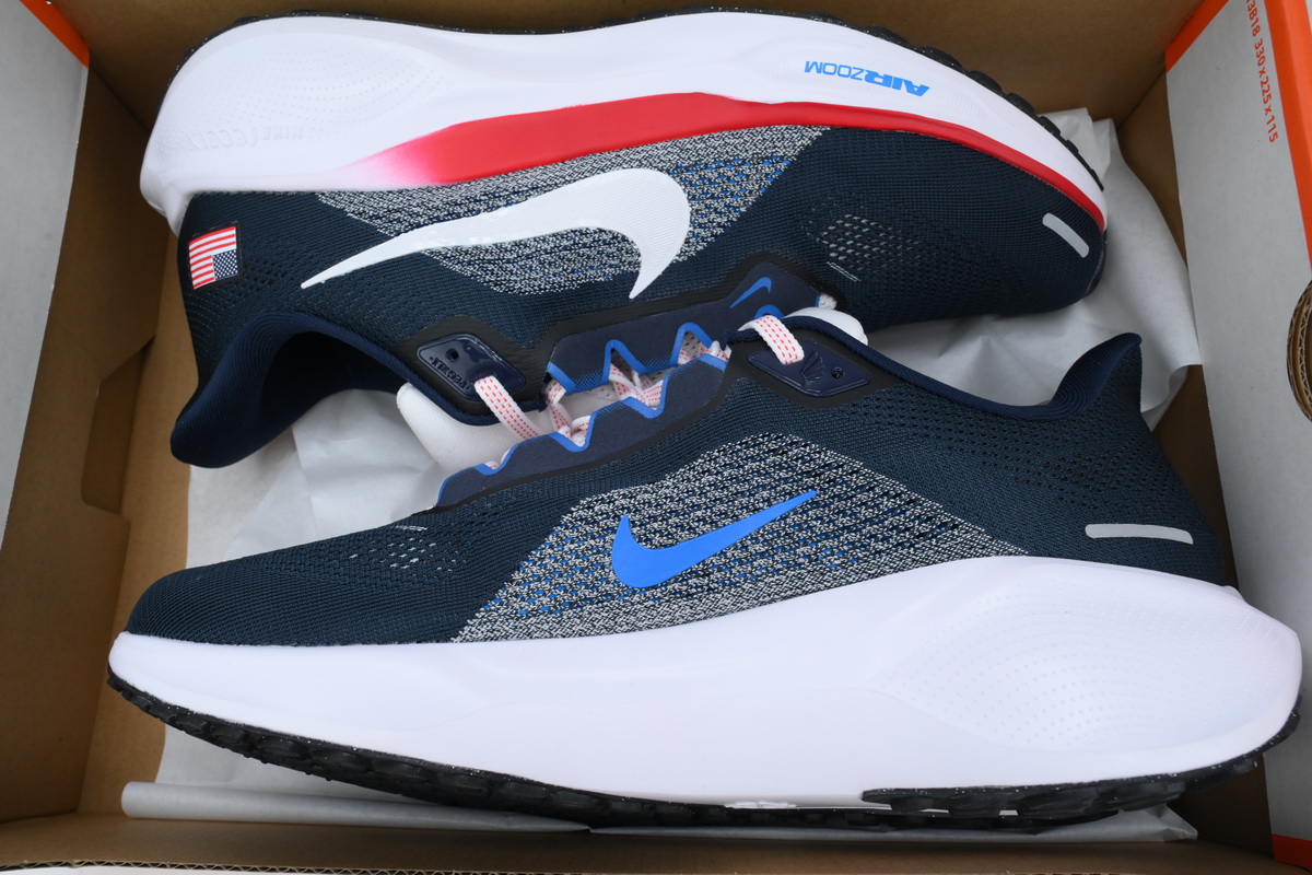 Air Zoom Pegasus 41 Team USA HF0402-400 