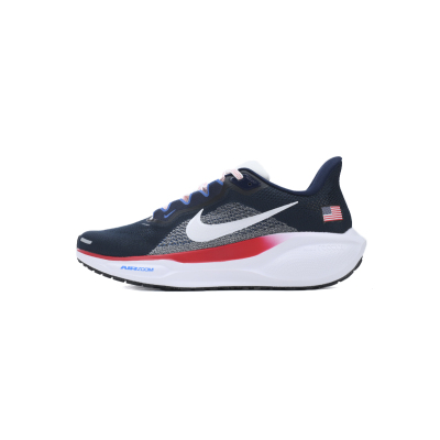 Air Zoom Pegasus 41 Team USA HF0402-400  01