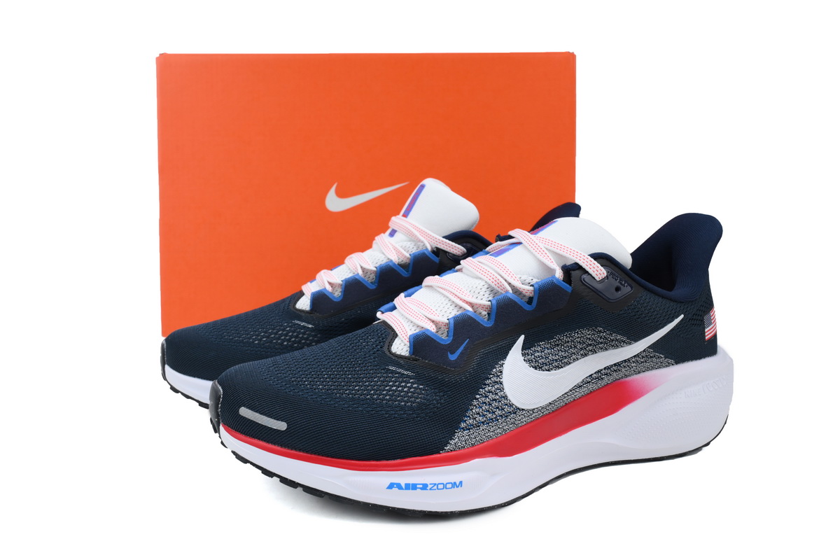 Air Zoom Pegasus 41 Team USA HF0402-400 