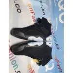 PKGoden Air Jordan 6 Retro Chrome DX2836-001 