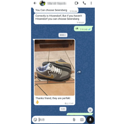 PKGoden Dunk Low Grey Lobster,BV1310-105 02