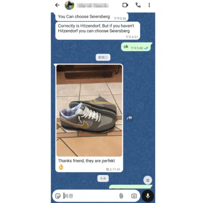 PKGoden Dunk Low Grey Lobster,BV1310-105 02