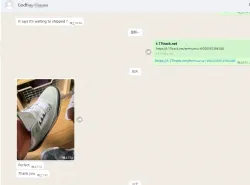 OG Jordan 3 Retro Chlorophyll 136064-006 review feedback from WhatsApp customers 01