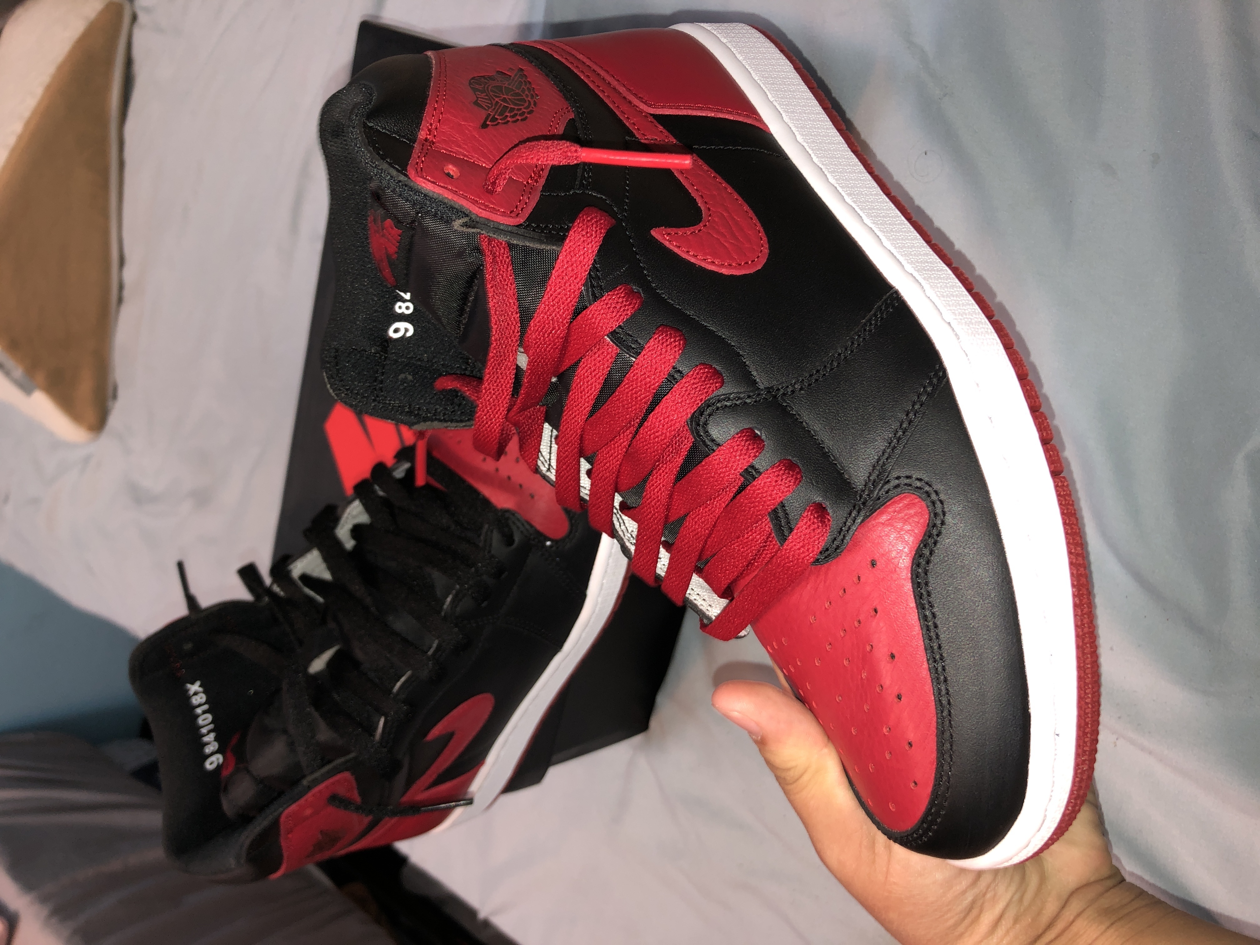 OG Jordan 1 Retro Bred Banned (2016) review David 01