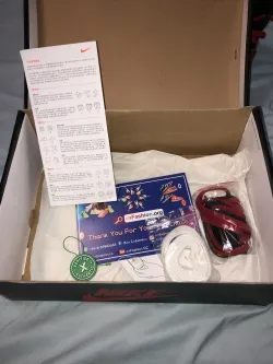 OG Jordan 1 Retro Bred Banned (2016) review David 03