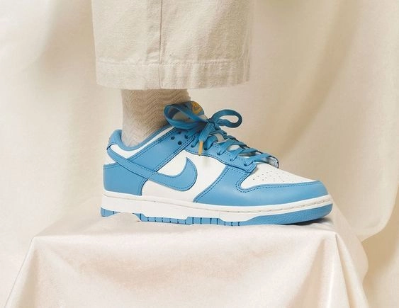 cnFashion PKGoden Dunk Low Coast (W)