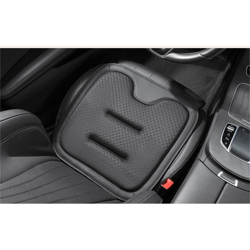 Car Four Seasons General Purpose Cushion-Black
