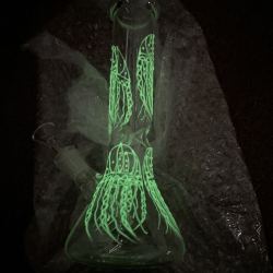 Glow in the Dark Jellyfish Beaker Bong Clear Glass Animal Dab Rigs W/ Ice Catcher review shelleyw