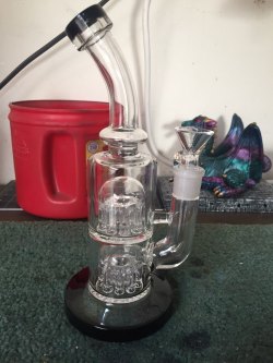 8 Inch Double Tree Arms Perc Dab Rig Jelly-Fish Perc Thick Glass Bongs Mini Water Pipe review Steven Villaverde