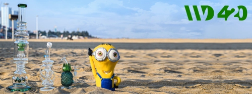 6 Cheap Bongs Under $50 in 2021