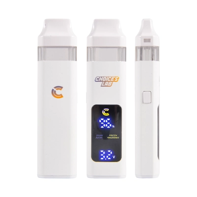 USA Stock 500pcs/case Choices Lab Dual 2g Disposable Vape White With Screen 02