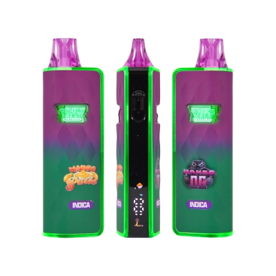 2g Whole Melt Phase 4 V9 Dual Disposable Vape Pen With Digital Screen 02
