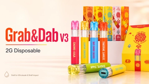Grab Dab V3 2G Disposable: A Smarter Bulk Hardware Choice for Vape Buyers