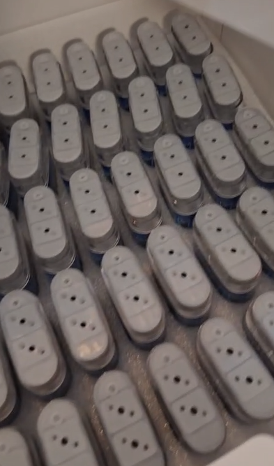 Cookies The Freak Brothers V2 1g+1g Dual Chamber 2g LED Empty Disposable Vape review bob