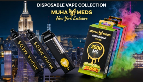 Disposable THC Vapes Are Winning: What’s Driving 2025 Growth