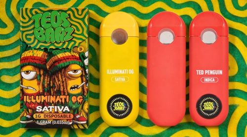 Mastering the Art of Using Teds Barz Weed Pen: Tips for Beginners