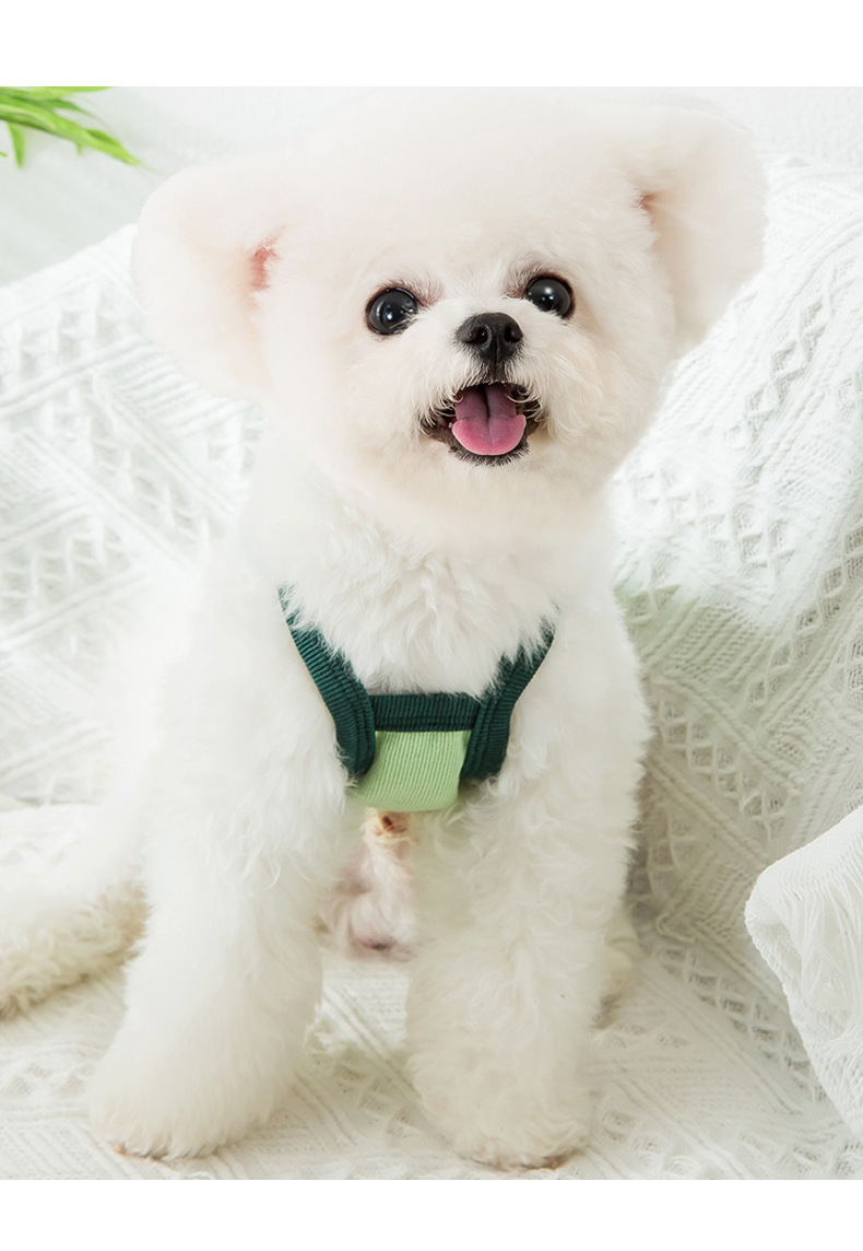 Avocado Camisole Thin Pet Clothes