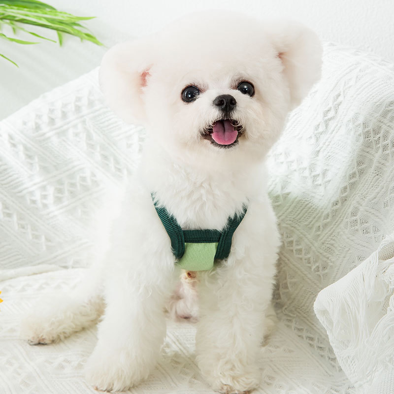 Avocado Camisole Thin Pet Clothes