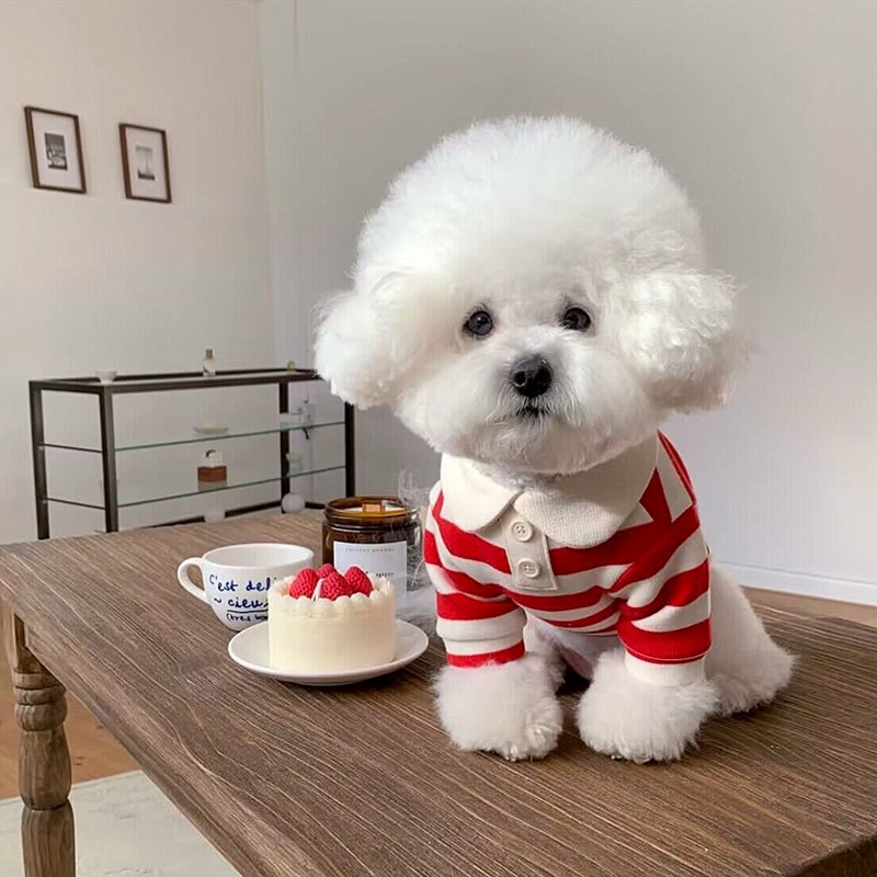 Casual Striped Round Neck T-Shirt Two-legged Pet Clothes
