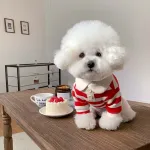 Casual Striped Round Neck T-Shirt Two-legged Pet Clothes